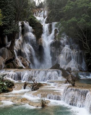 Laos